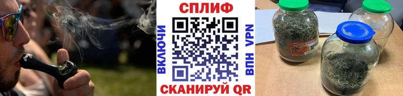  COCAIN Олёкминск