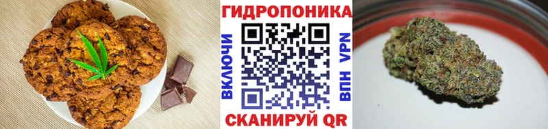 Canna-Cookies марихуана  цены наркотик  Олёкминск 