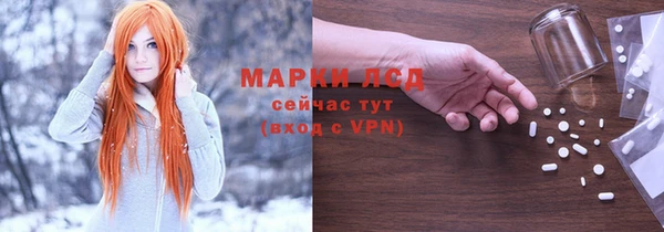 ешки Корсаков