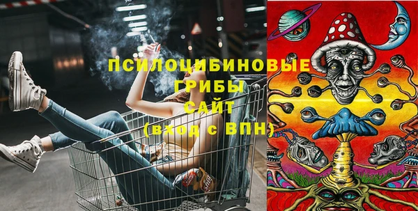 кокс Богородск