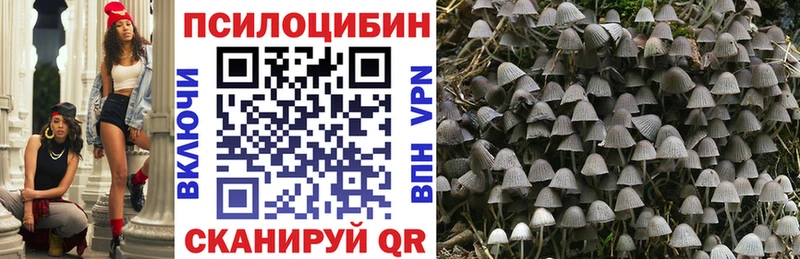 Галлюциногенные грибы GOLDEN TEACHER  Олёкминск 